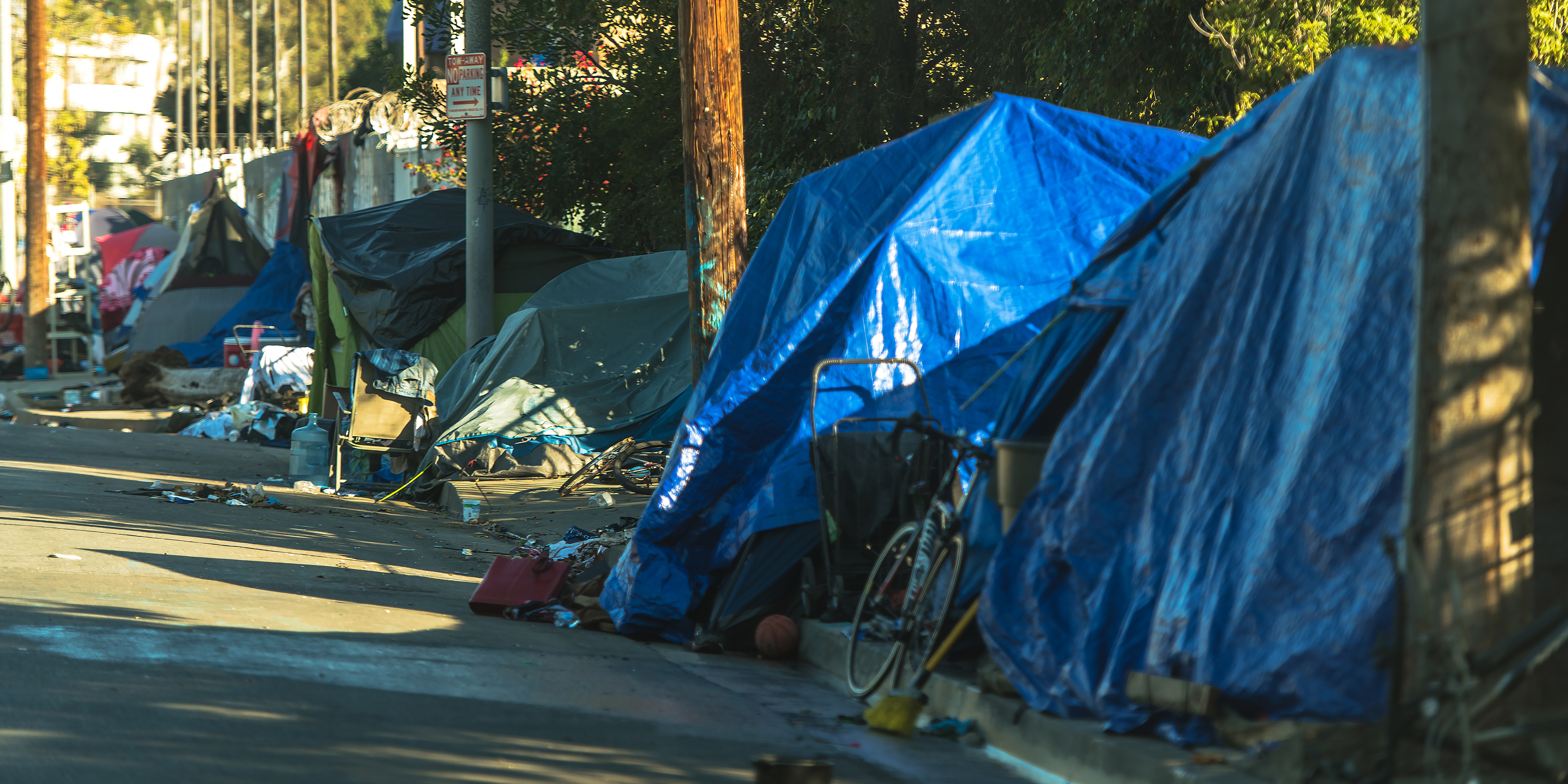 1. The High Cost of Being Poor: Health Effects and Outcomes of Poverty in North Carolina (Includes Poverty Simulation) image