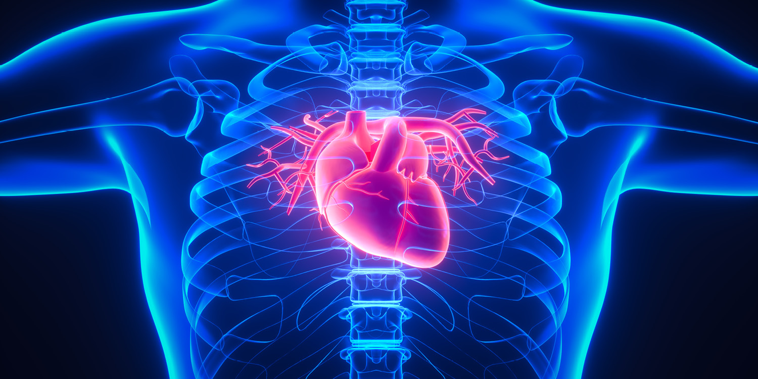 2. Atrium Health Sanger Heart & Vascular Institute Cardiovascular Symposium image